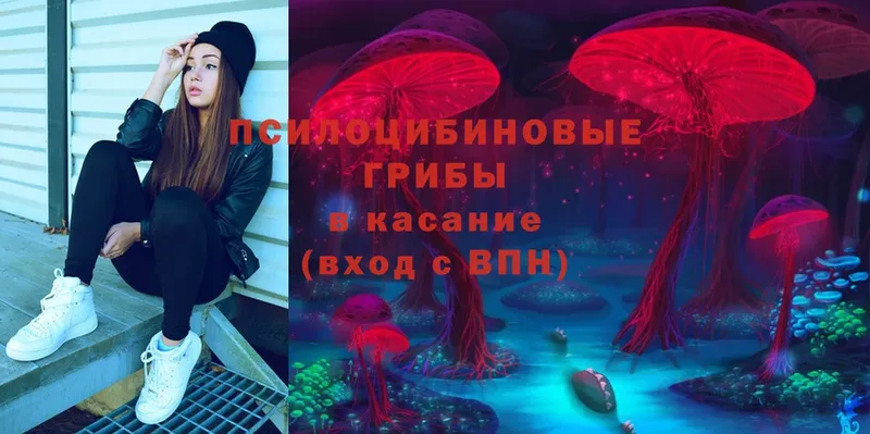 Галлюциногенные грибы MAGIC MUSHROOMS  мега как войти  Алапаевск 